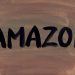 analyse amazon